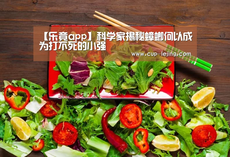 乐竟app