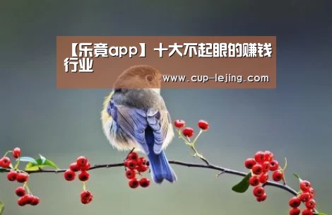 乐竟app