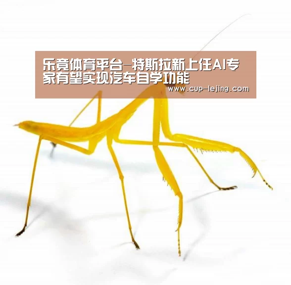 乐竟平台