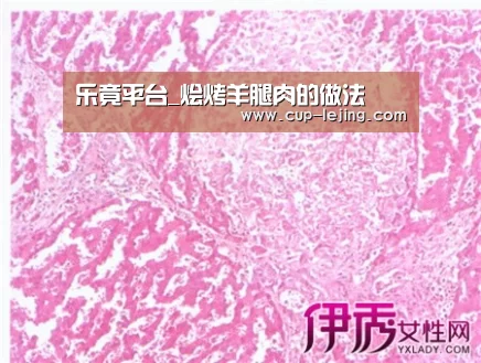 乐竟体育平台
