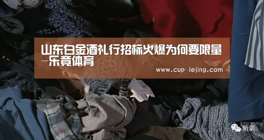乐竟平台