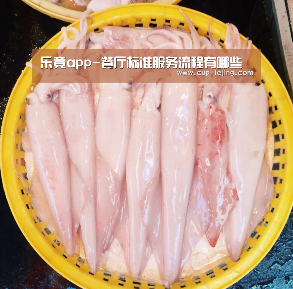 乐竟体育
