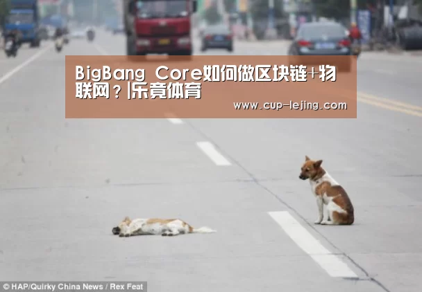 乐竟平台