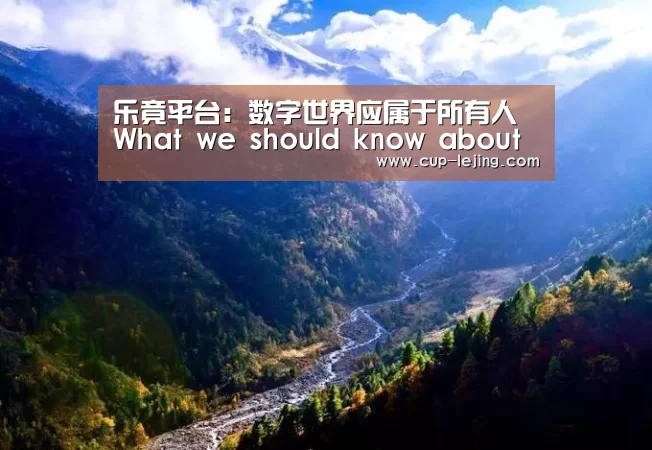 乐竟平台:数字世界应属于所有人 What we should know about the internet(图1) 乐竟体育