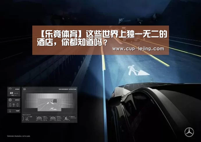 乐竟体育