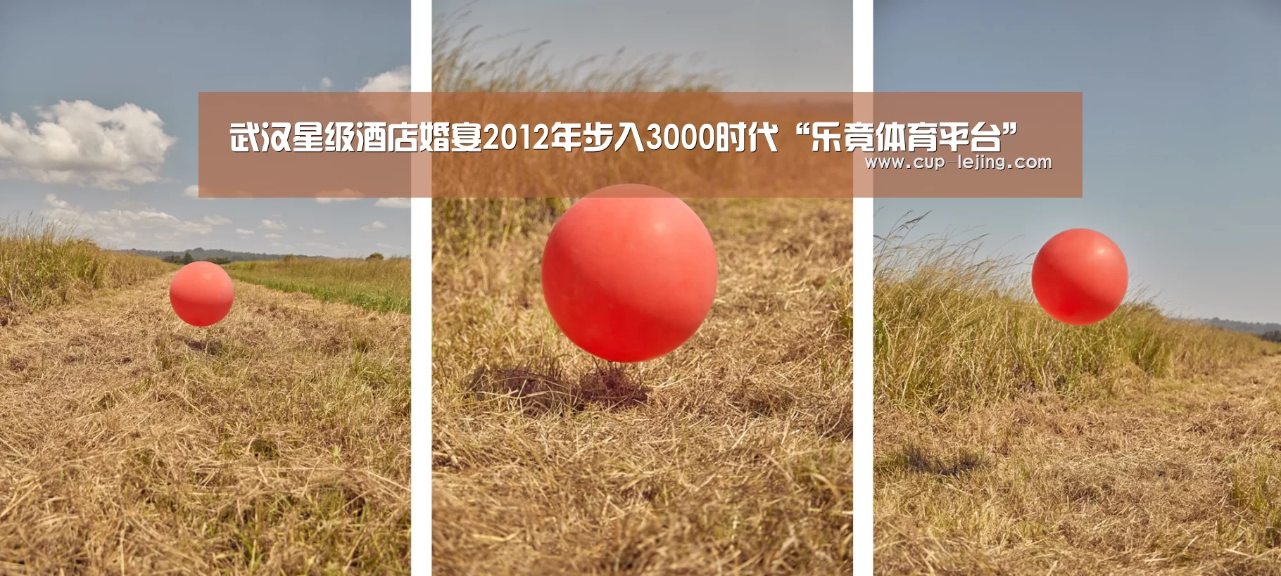 乐竟app